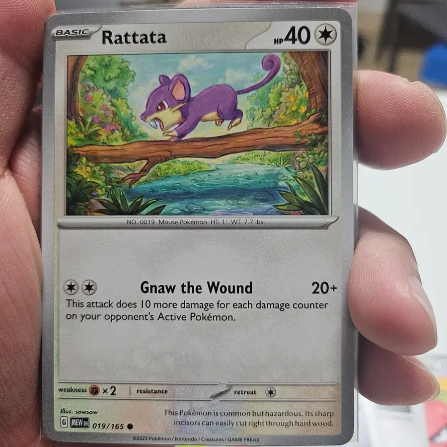 [북미최저가] 포켓몬카드 꼬렛 019/165 151 MEW 영문판 Rattata