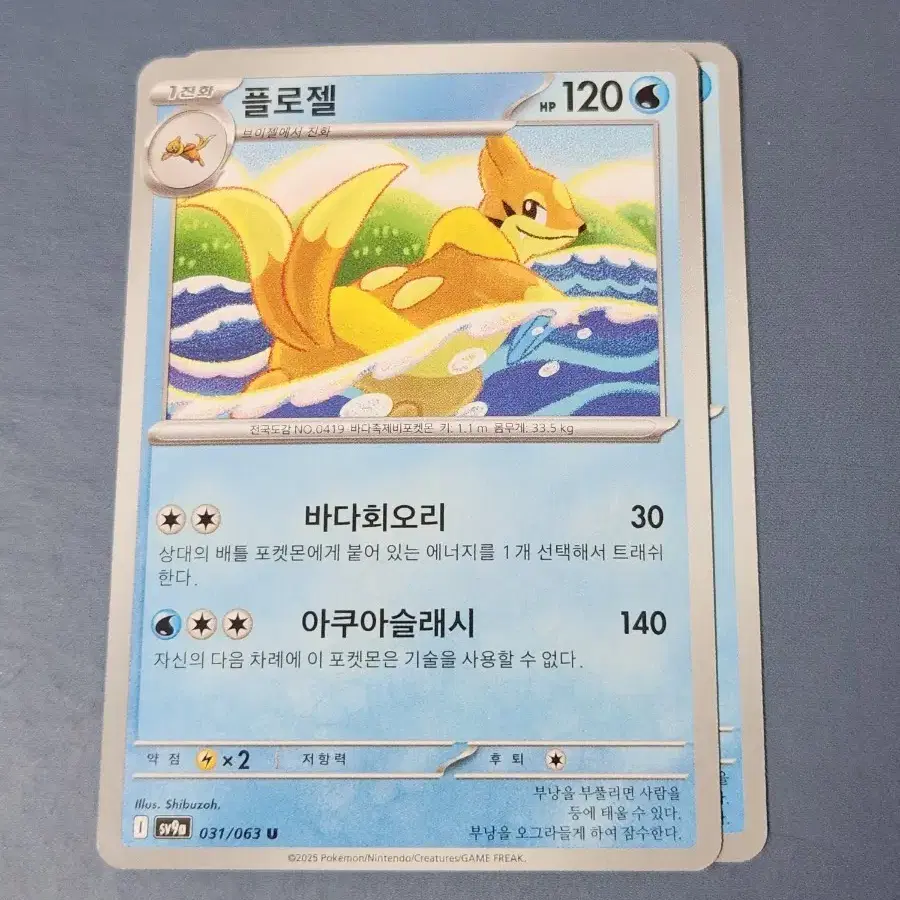 포켓몬 카드 플로젤 sv9a