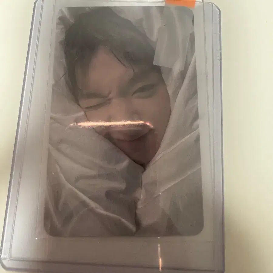 박지훈 포맨트 이불 포카 왕사남 약한영웅 워너원