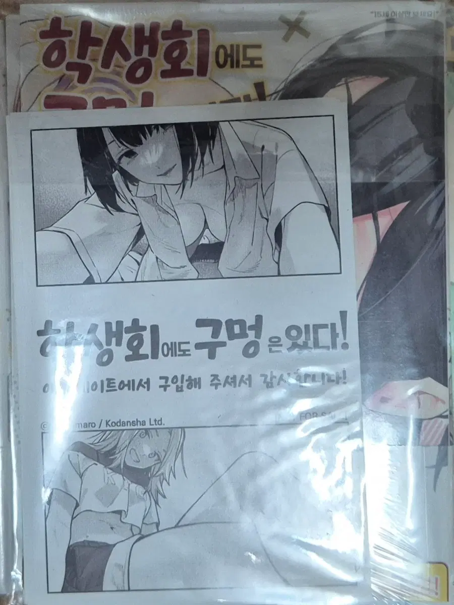 학생회에도 구멍은 있다 5 애니메이트 초판 미개봉
