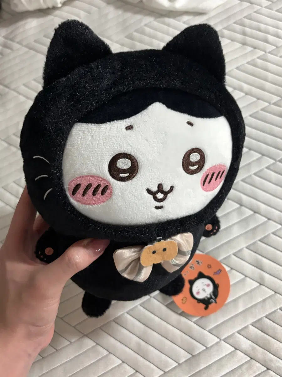(일본구매)할로윈 하치와레 깜고 인형