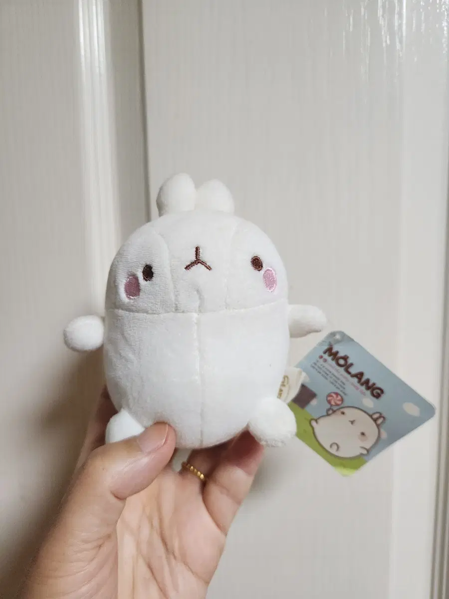 몰랑이 인형 흰색