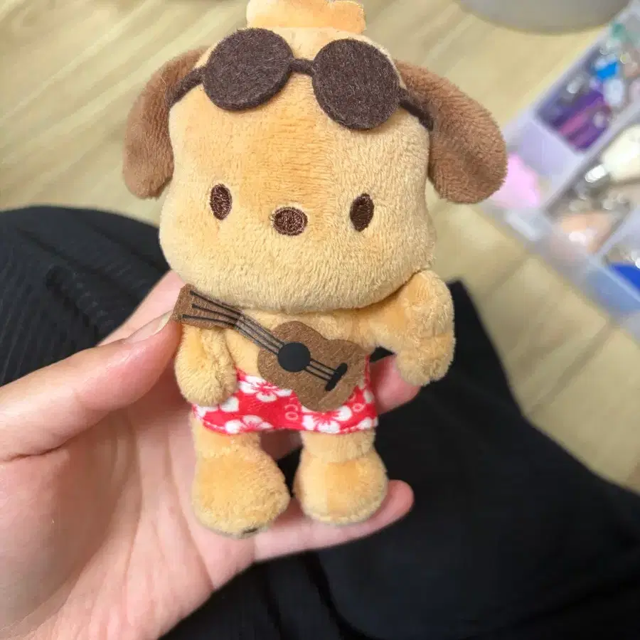 하와이 테닝 포차코