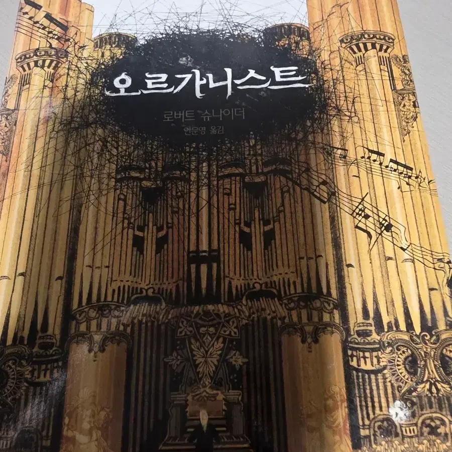 오르가니스트 로버트 슈나이더 로맨스 소설