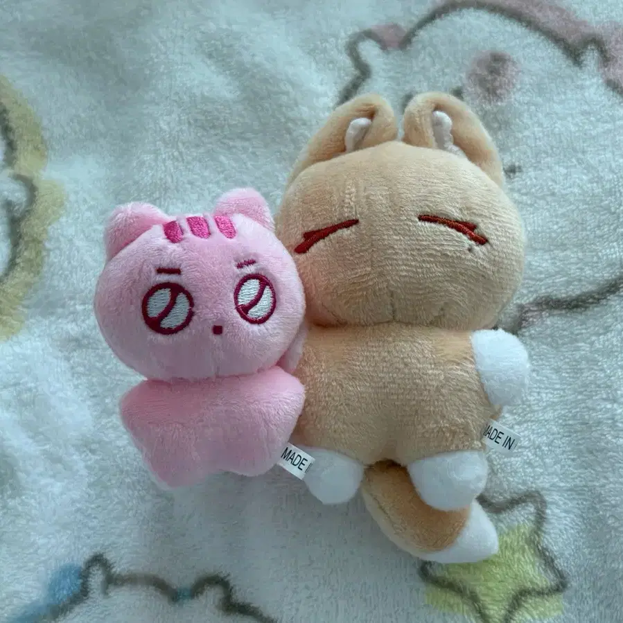 말랑플브 노아 밤비