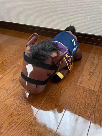 [ 배송비 포함 ] 키타산 블랙 봉제 인형 제156회 천황상 ( 미사용 새상품 )