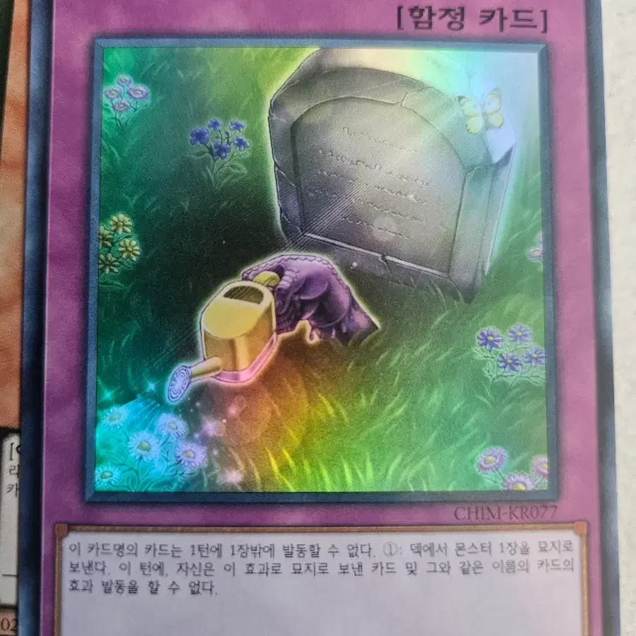 화창한 매장 슈레