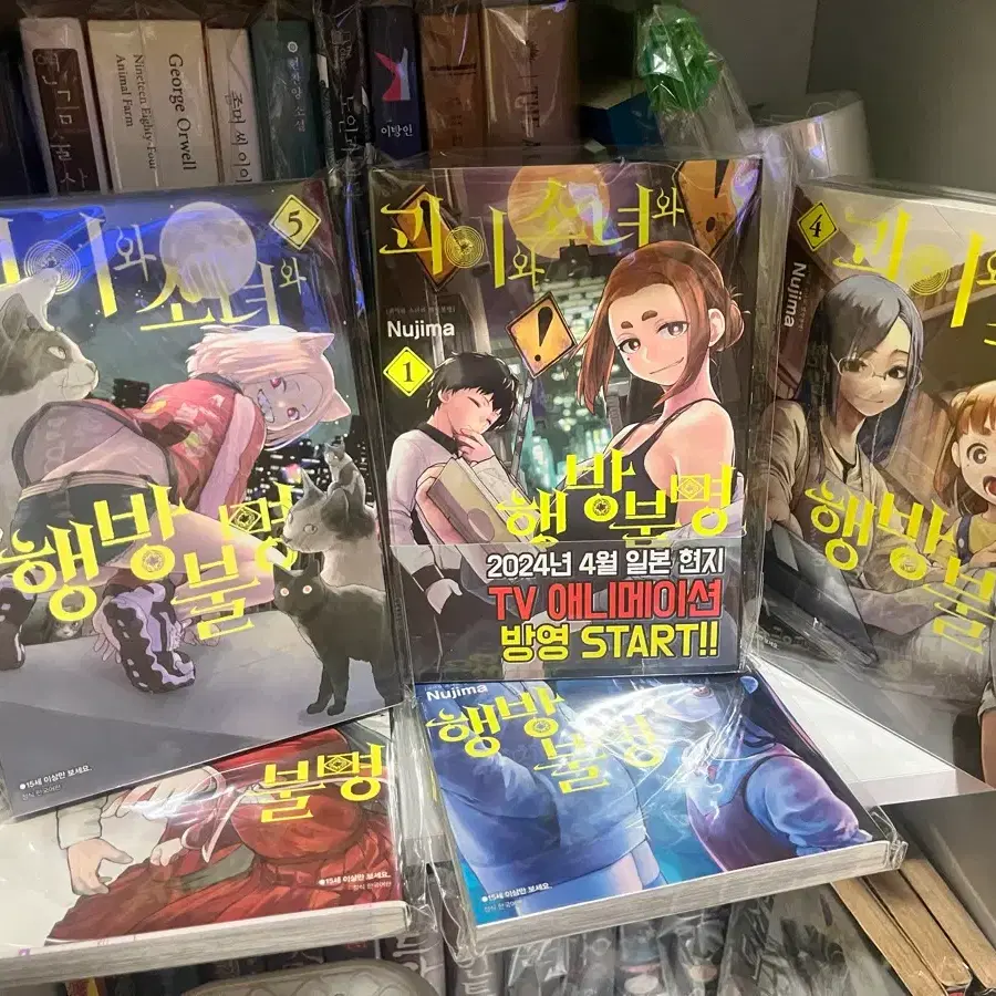 괴이와 소녀와 행방불명