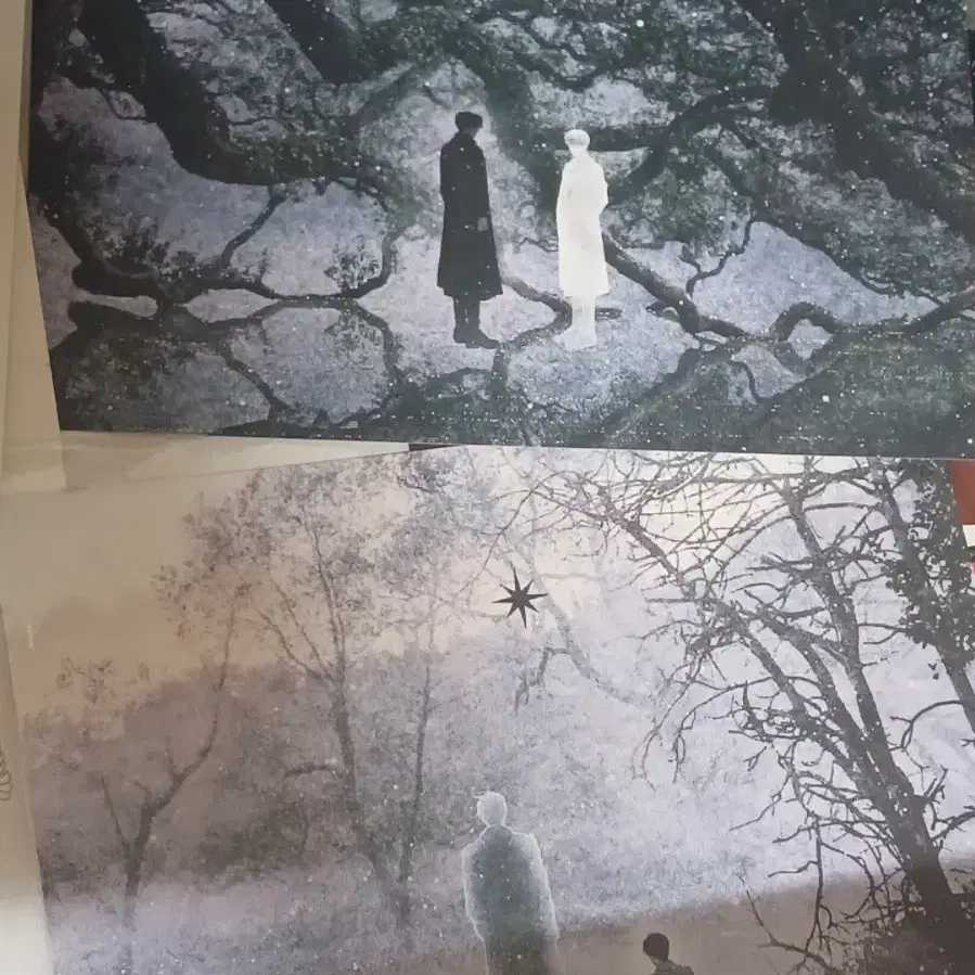 전시적 독자 시점 엽서일괄
