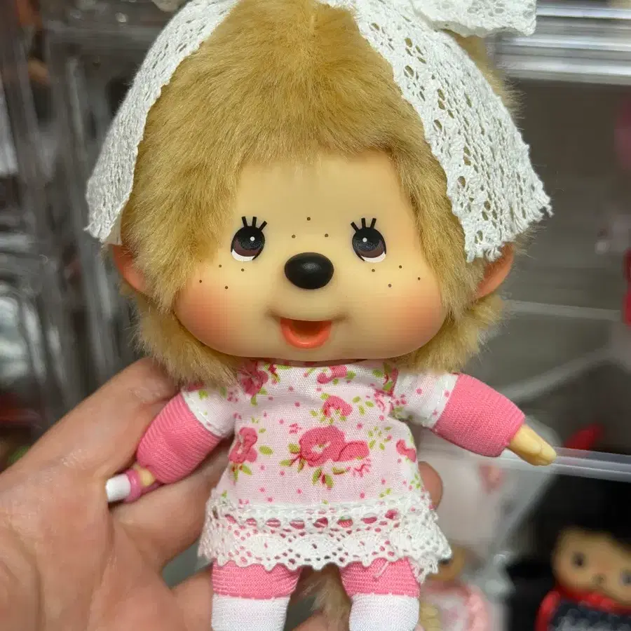 레이스 홍콩대두 몬치치