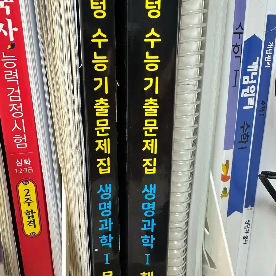 마더텅 생명1