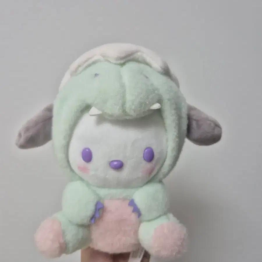 산리오 공룡 인형 포차코