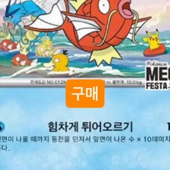 [티켓베어스]