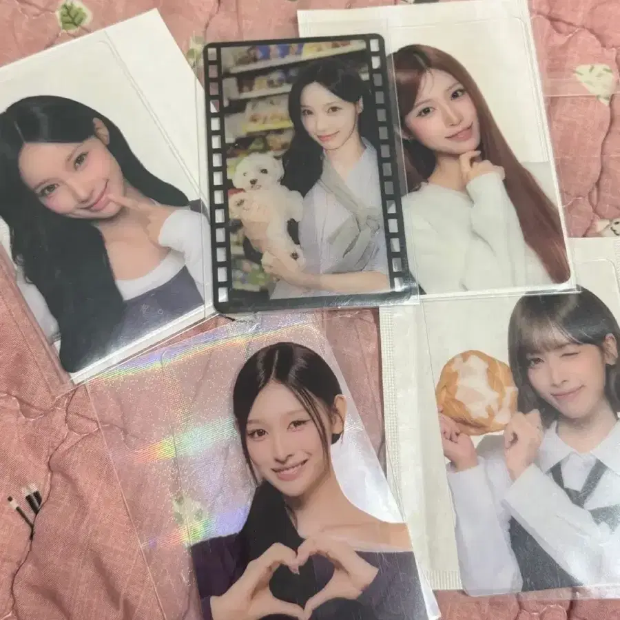 리센느 빵 포토카드 일괄