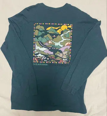 [ 착용 2회 ] Patagonia 긴팔 티셔츠 롱티 그린 남성용 L