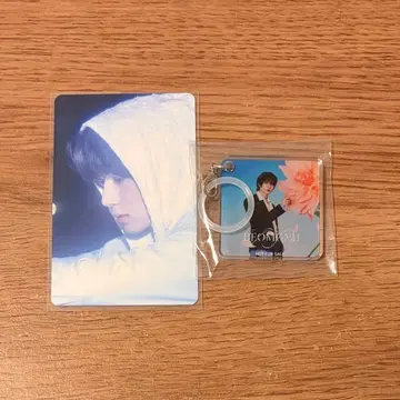 TXT 세츠나하비 봄규 메지루시 참
