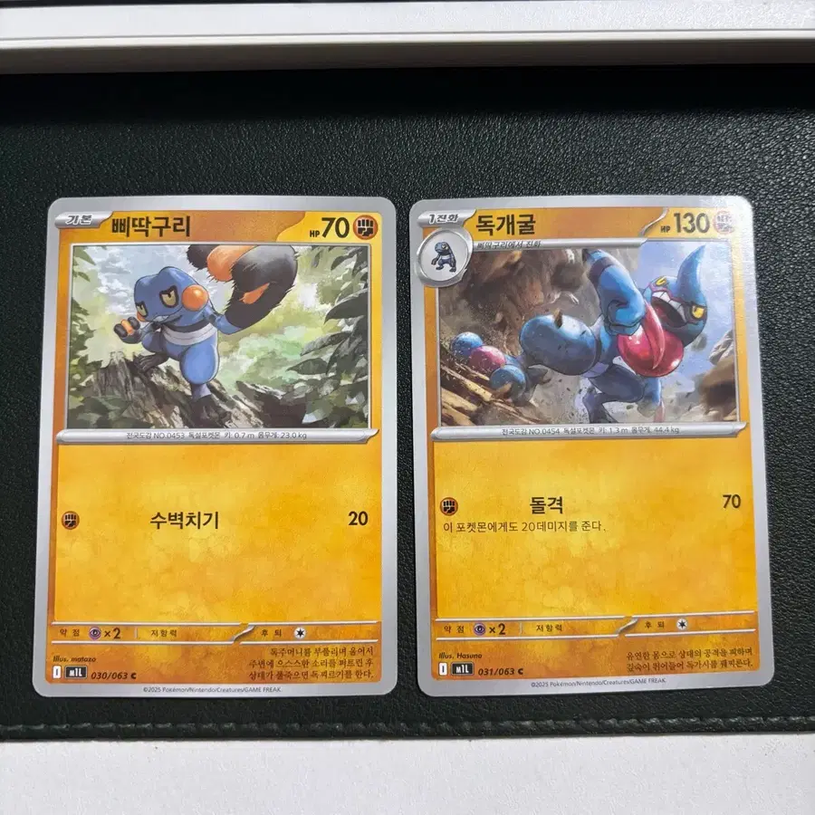 포켓몬카드 삐딱구리/독개굴 진화라인
