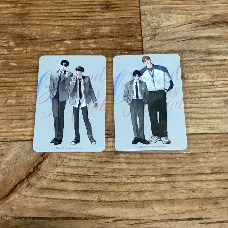 리디고 판타지트 들닥 들이닥치다 봉춘각시 포카 일괄