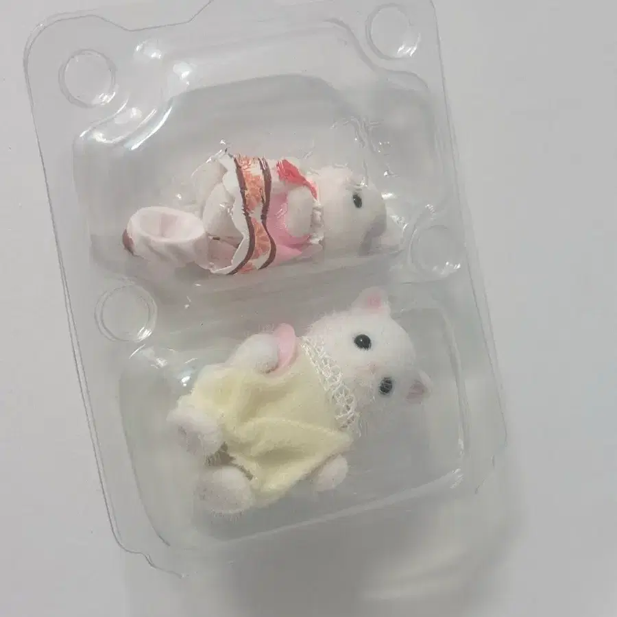 일괄) 실바니안 블라인드팩 아기바다 아기케이크파티 페르시안 아기고양이 라떼고양이