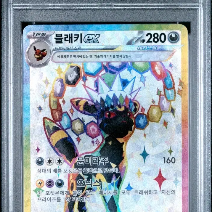 포켓몬 카드 블래키EX 프로모 한판 PSA 10