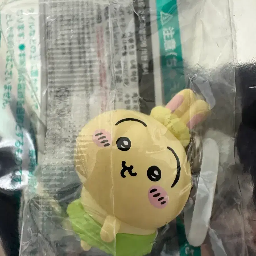 우사기 메지루시