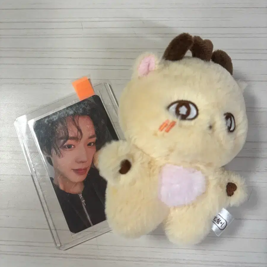 박지훈 소심이 인형