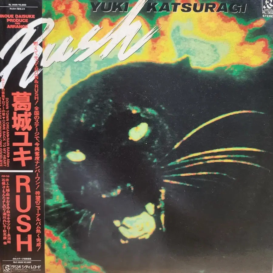 카츠라기 유키  Yuki Katsuragi Rush LP