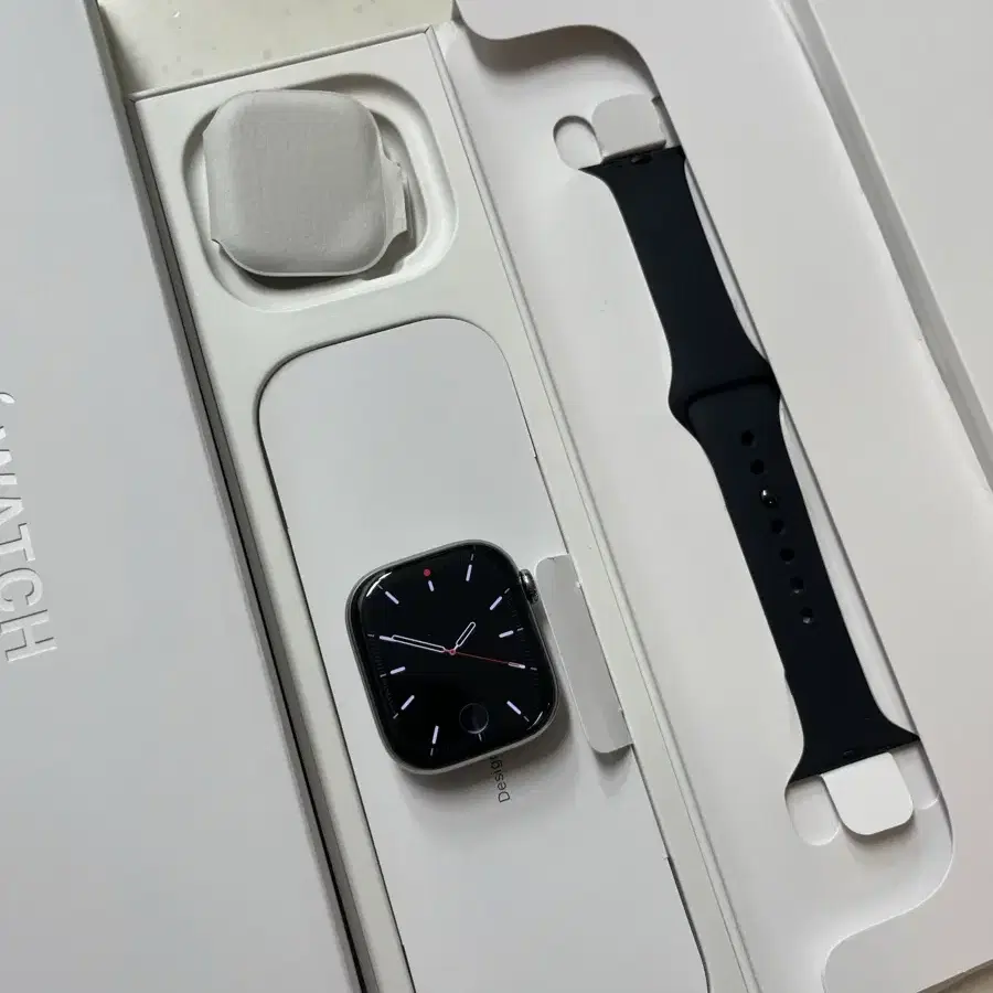 애플워치10티타늄 42mm 내추럴 SS급