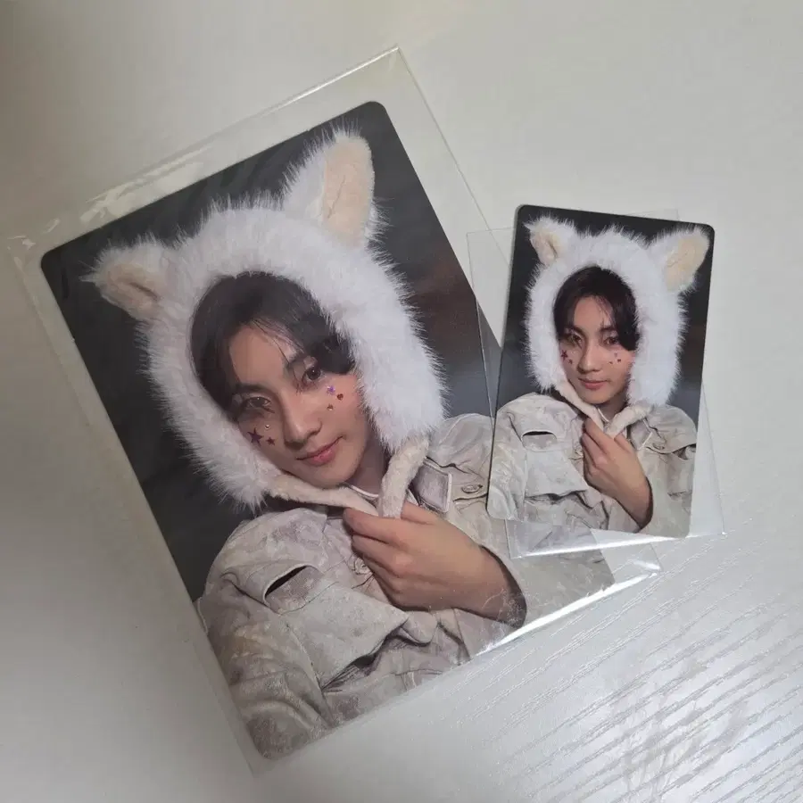 엔하이픈 정원 포카 양도
