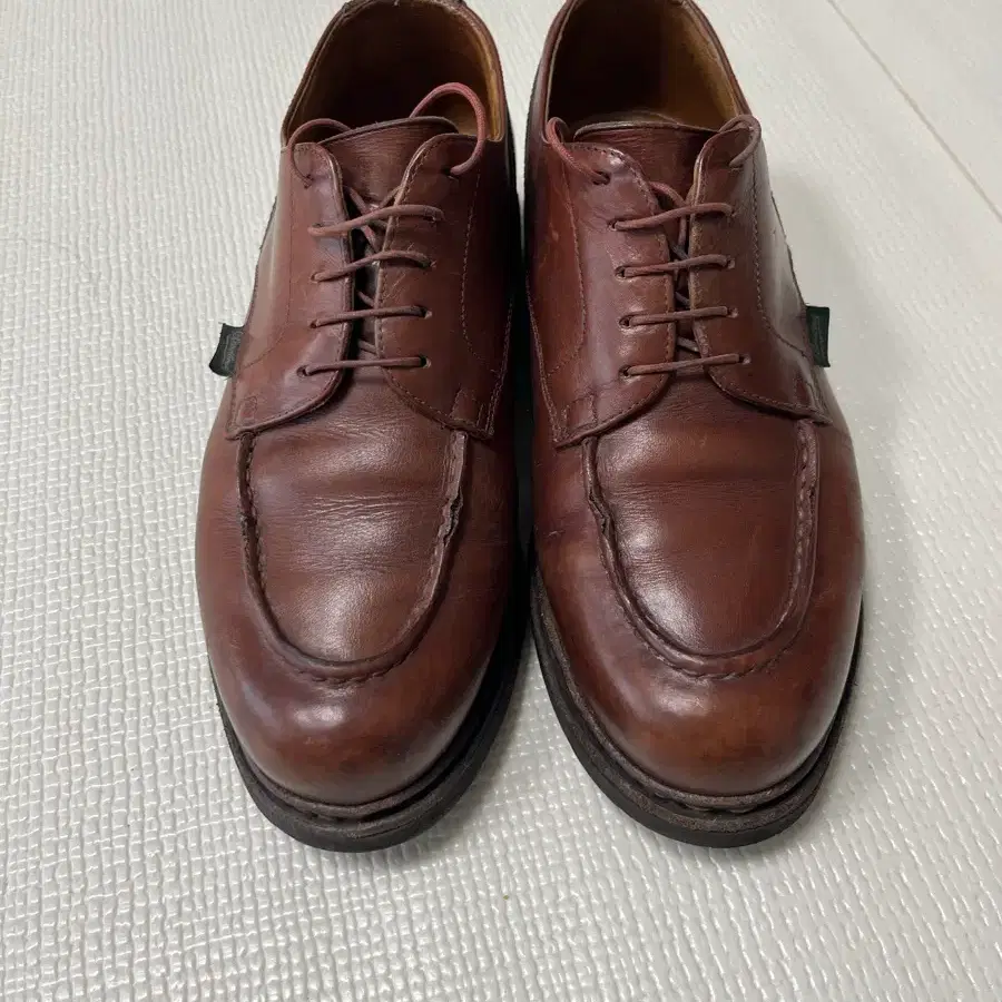 파라부트 샴보드 마룬