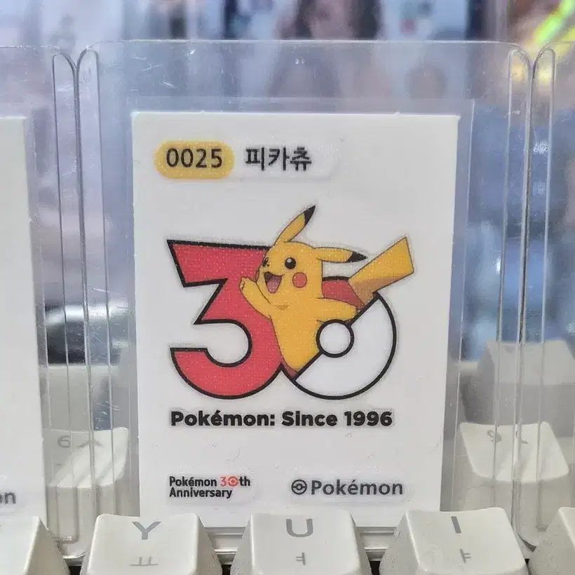 [포켓몬스터]30주년 씰 피카츄,꼬부기,이상해씨 3종
