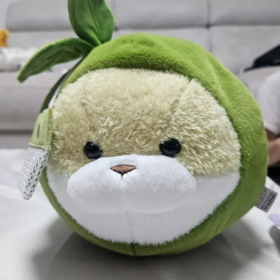 말차 우소우소