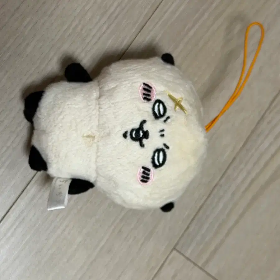 랏코 누이