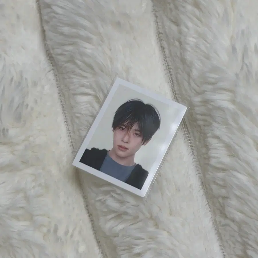 엔시티위시 공식 증명사진 양도 시온 오드투러브