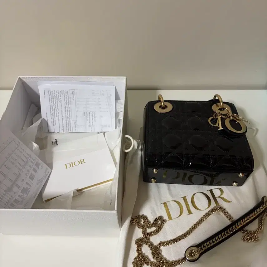 디올 레이디백 페이던트 미니 (모든 구성품O) 사진 1