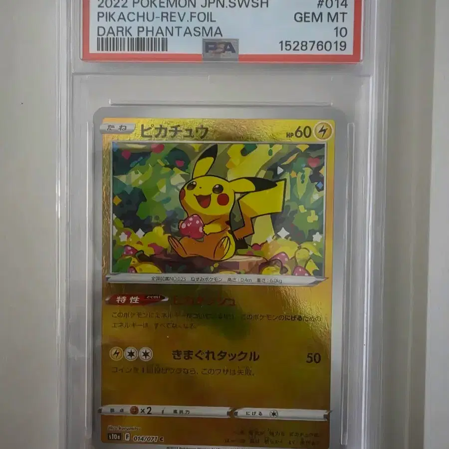 일판 PSA10 등카 2종 급처