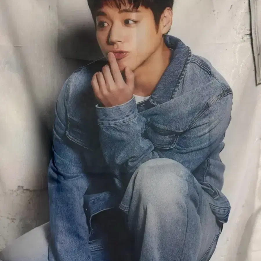 박지훈 페브릭 포스터