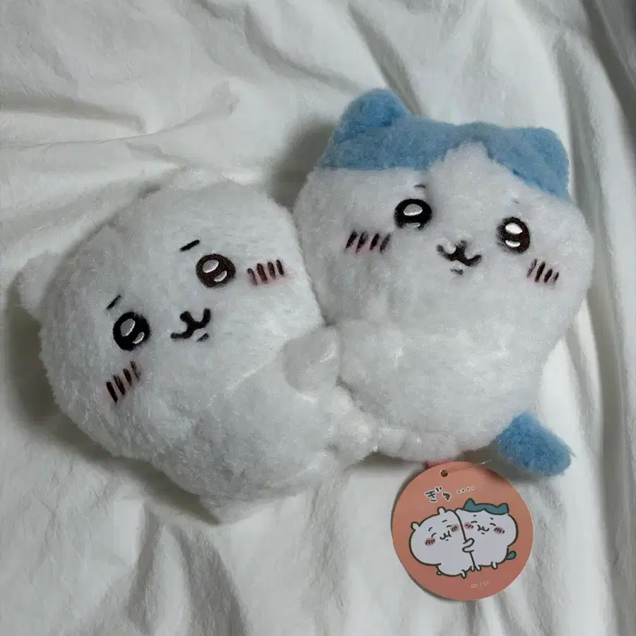 치이카와 하치와레 허그 후와후와 누이