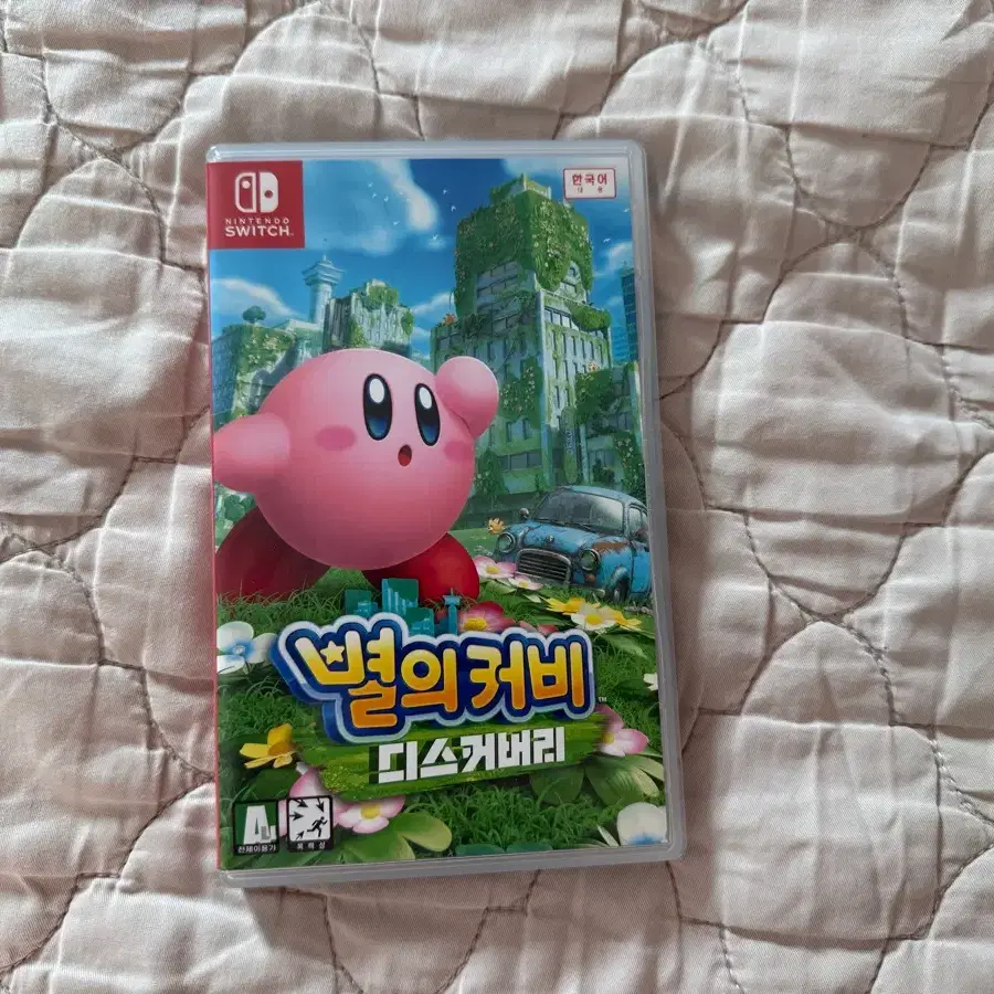 닌텐도 칩 커비 디스커버리