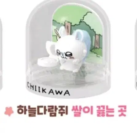 먼작귀 치이카와 워터볼 메이커 모몽가