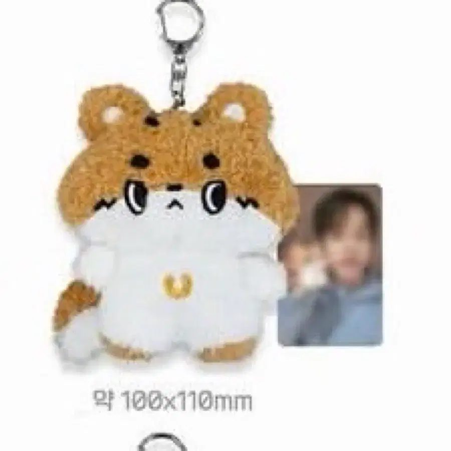루시 시루 여비 상엽 원가이하