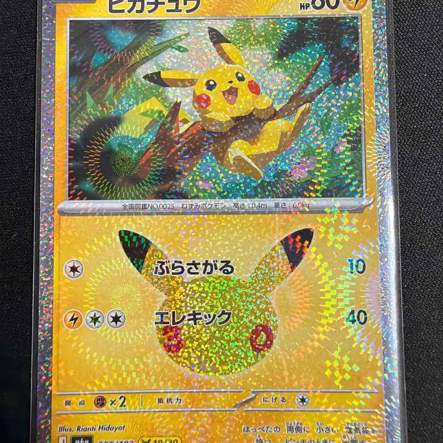 포켓몬 TCG 30 주년 피카츄 (19/30)