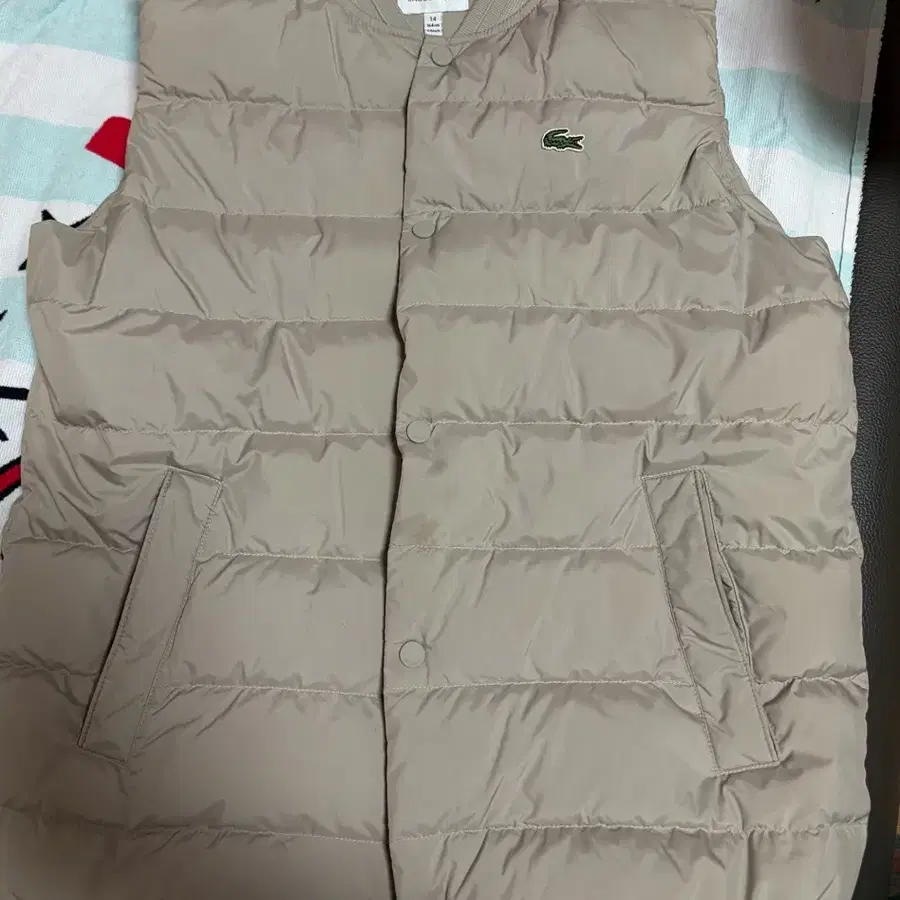 라코스테경량패딩