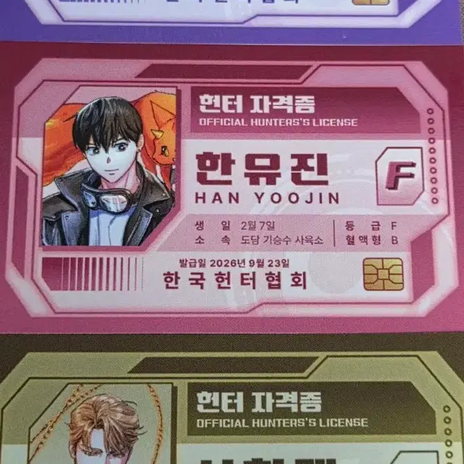 내스급/내가 키운 S급들 헌터증 세트 판매