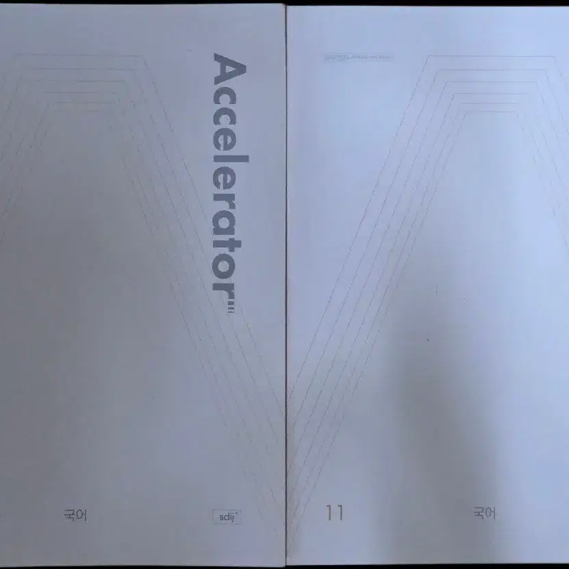 2027 시대인재 엑셀러레이터 국어 6, 11