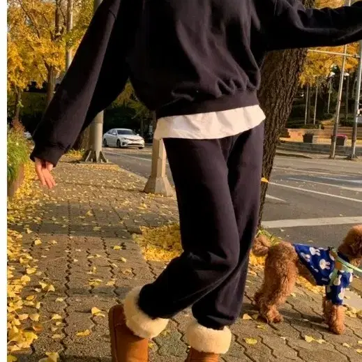 스키니피그 조거