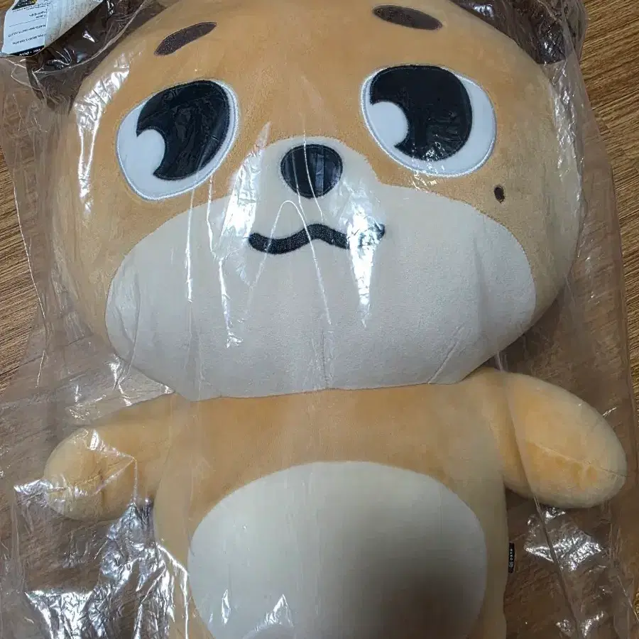 자멀 돈<폴라 포함>