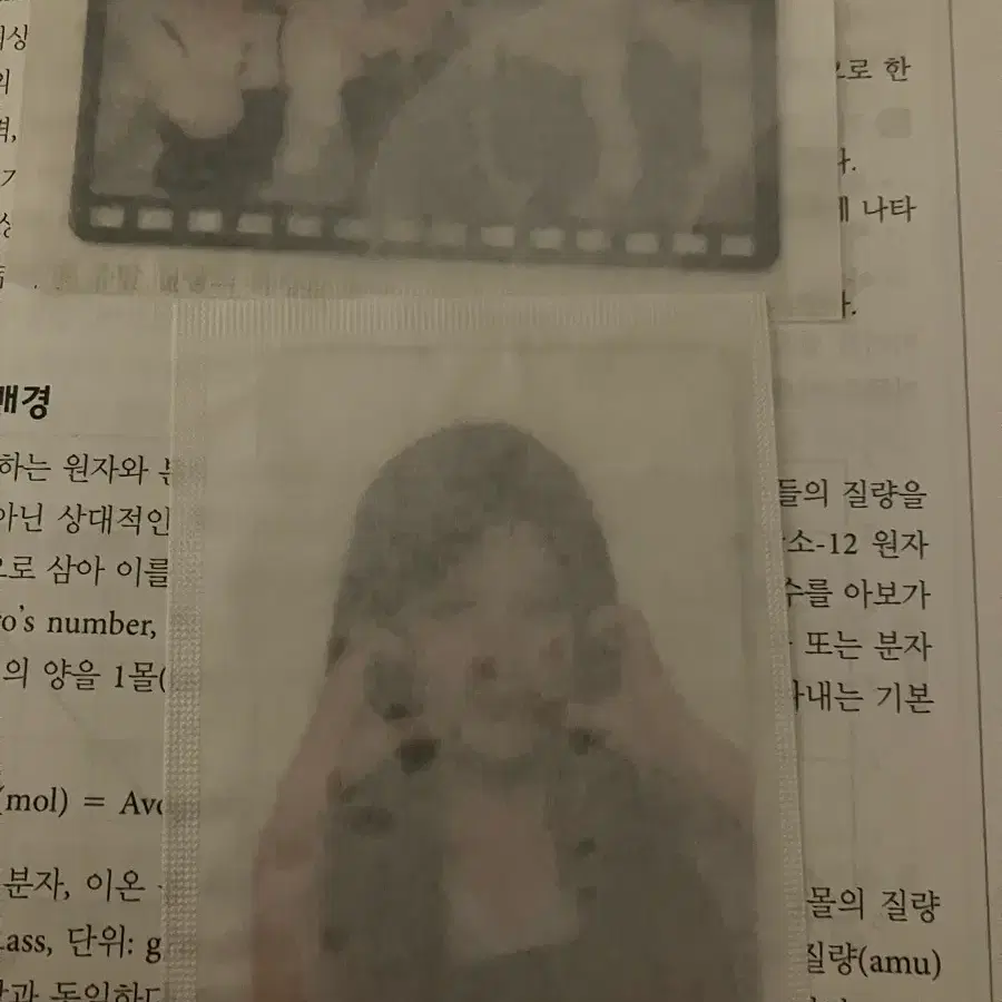 cu리센느 빵 포카 일괄