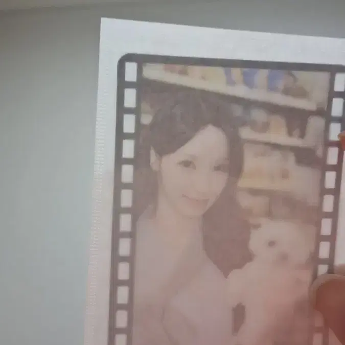 르센느 원이 별이 포카 팔아요 (미개봉)