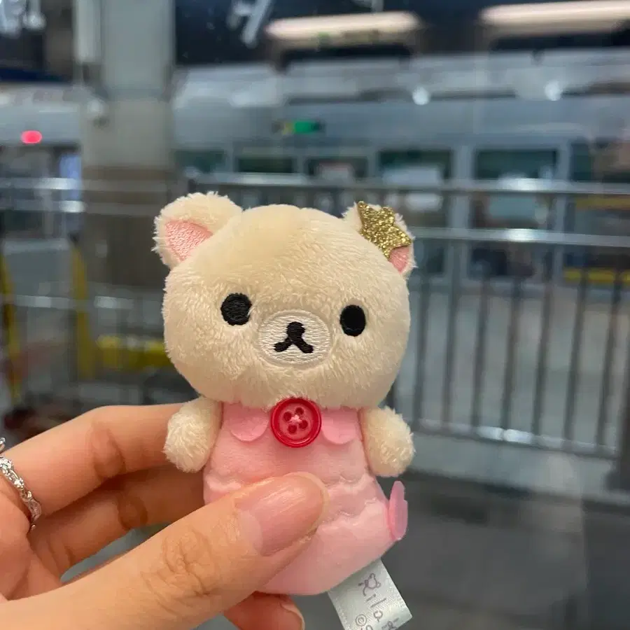 산엑스 코리락쿠마 인어 테노리